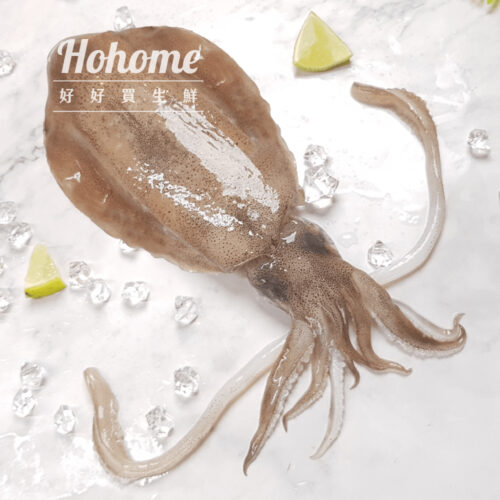 5A生食級軟絲(1000g)