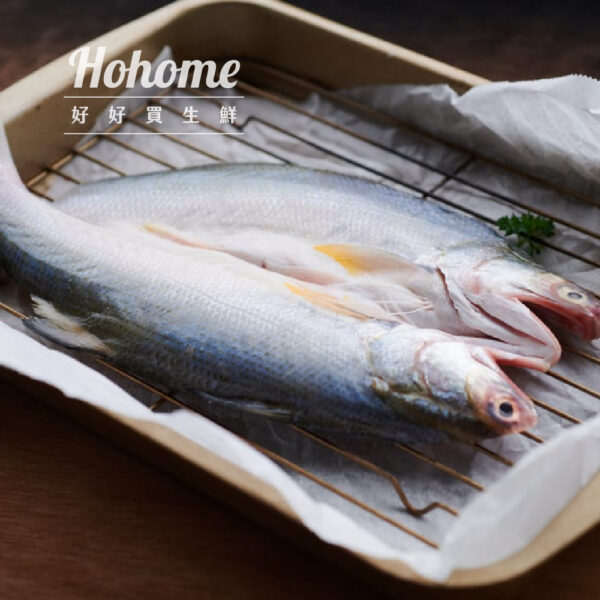 午仔魚一夜干(約200g)