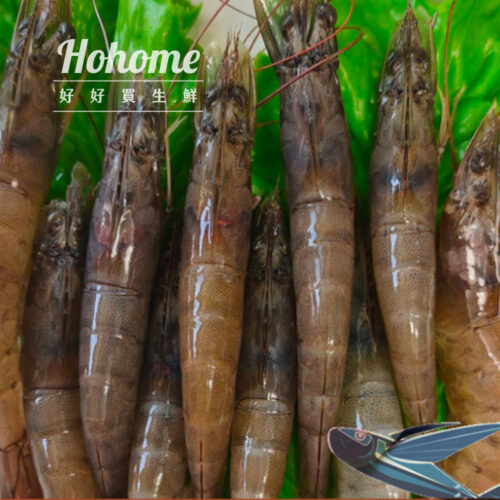 進口嚴選生凍大白蝦