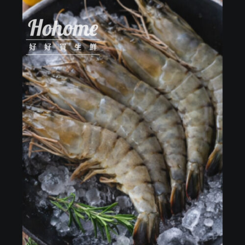 黑鑽極品大虎蝦（盒裝）