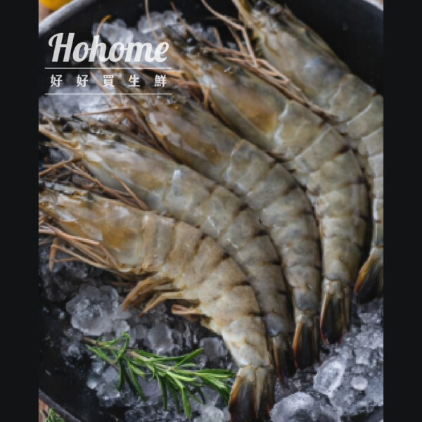 黑鑽極品大虎蝦（盒裝）