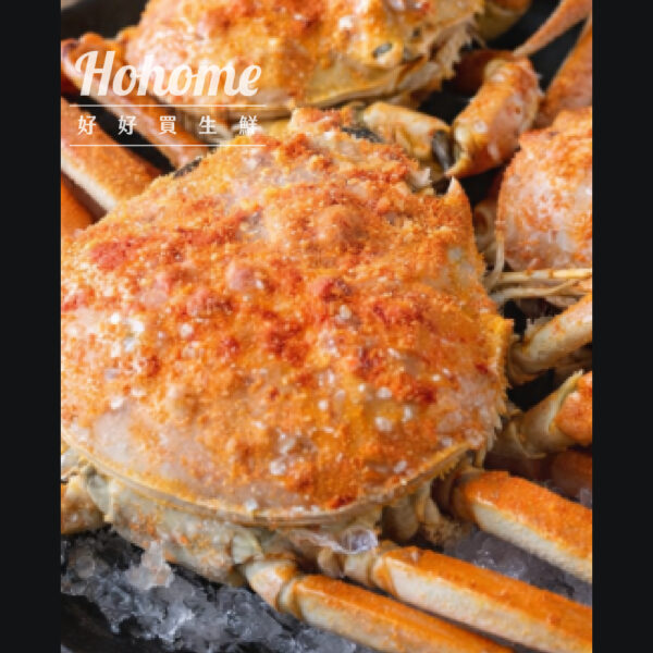 熟凍松葉蟹（母蟹）