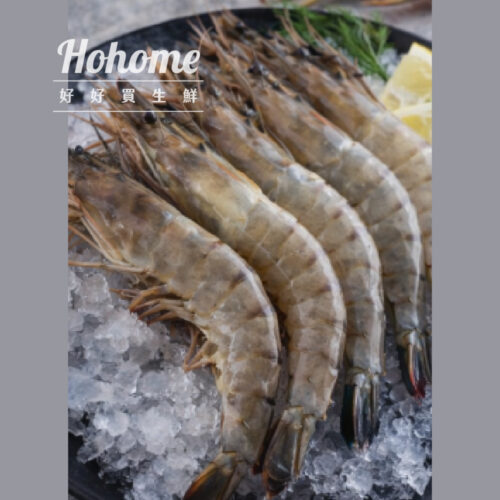 南美活凍鮮甜白蝦