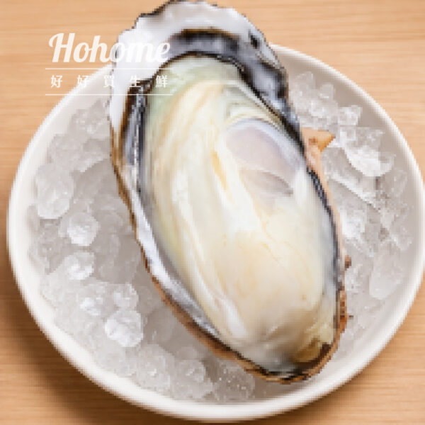 日本生食級頂級生蠔