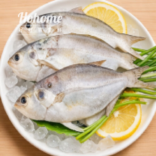 野生鮮甜肉魚