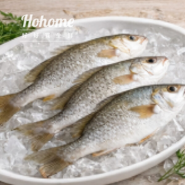 嚴選金目鱸魚