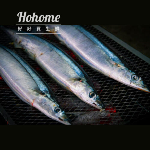 嚴選油脂秋刀魚